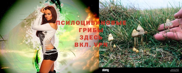 круглые Апатиты