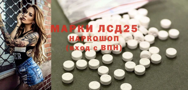 прущие грибы Абдулино
