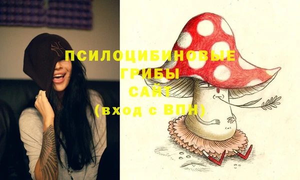 не бодяженный Няндома