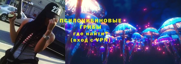 прущая мука Анива