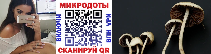 где можно купить наркотик  Щучье  Галлюциногенные грибы GOLDEN TEACHER 
